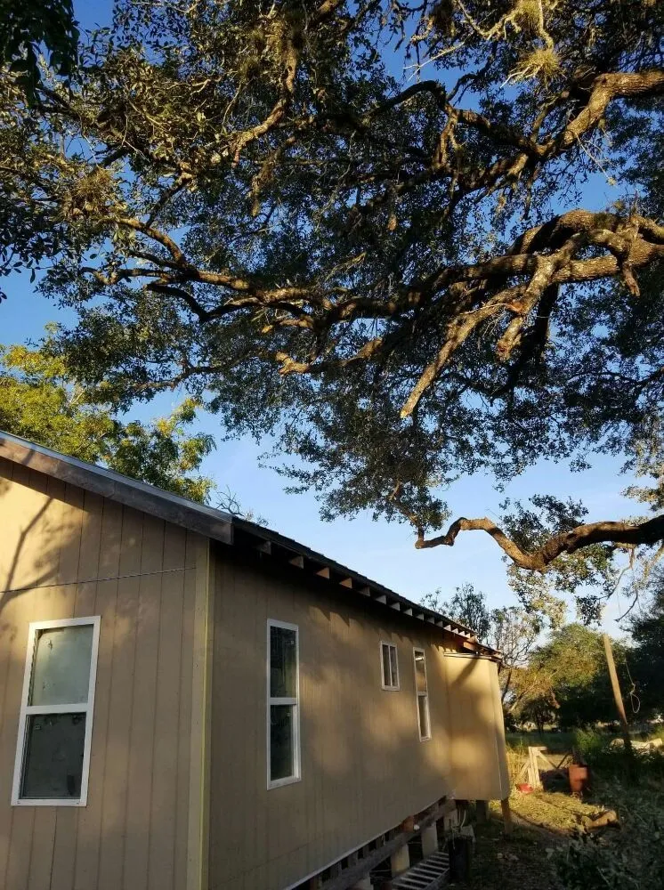 Custom outdoor landscaping in San Antonio, TX - The Other Branch