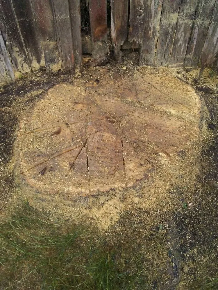 Reliable garden landscaping in San Antonio, TX - The Other Branch