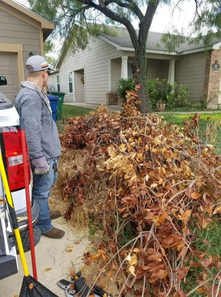 Professional yard maintenance in San Antonio, TX by The Other Branch