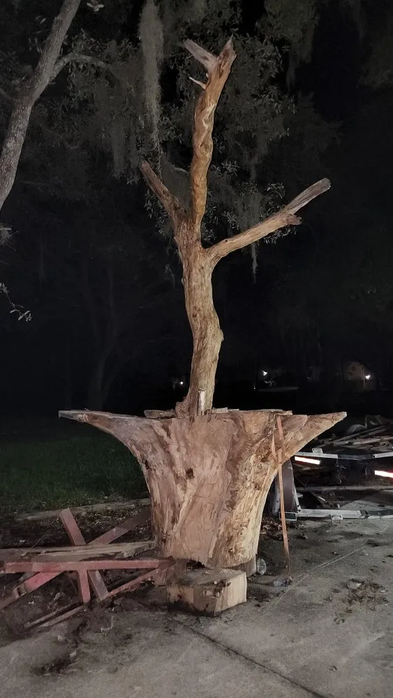 Trusted lawn care service in Hernando, FL by The Other Guy