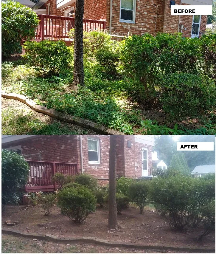 Custom yard cleanup service in Chester, VA by The Other Husband Lawn Services