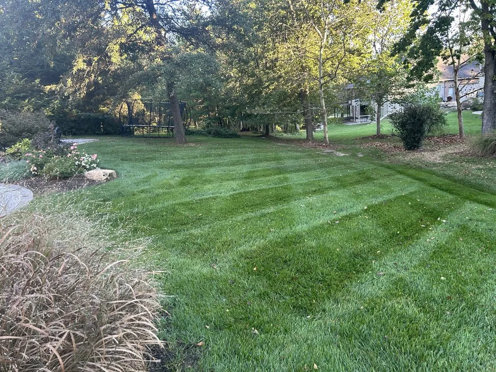 Local landscaping services in Columbia, MO by The Other Side