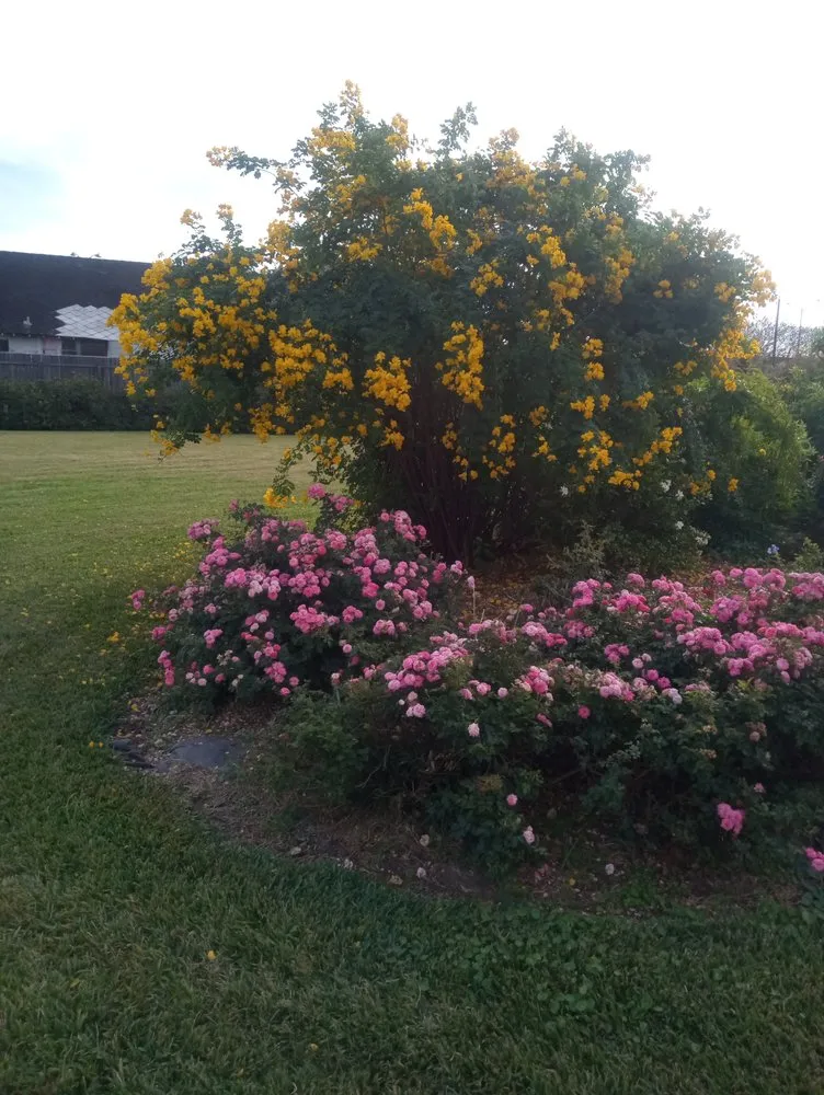 Professional outdoor landscaping experts serving Baton Rouge, LA - The Other Side Landscapes