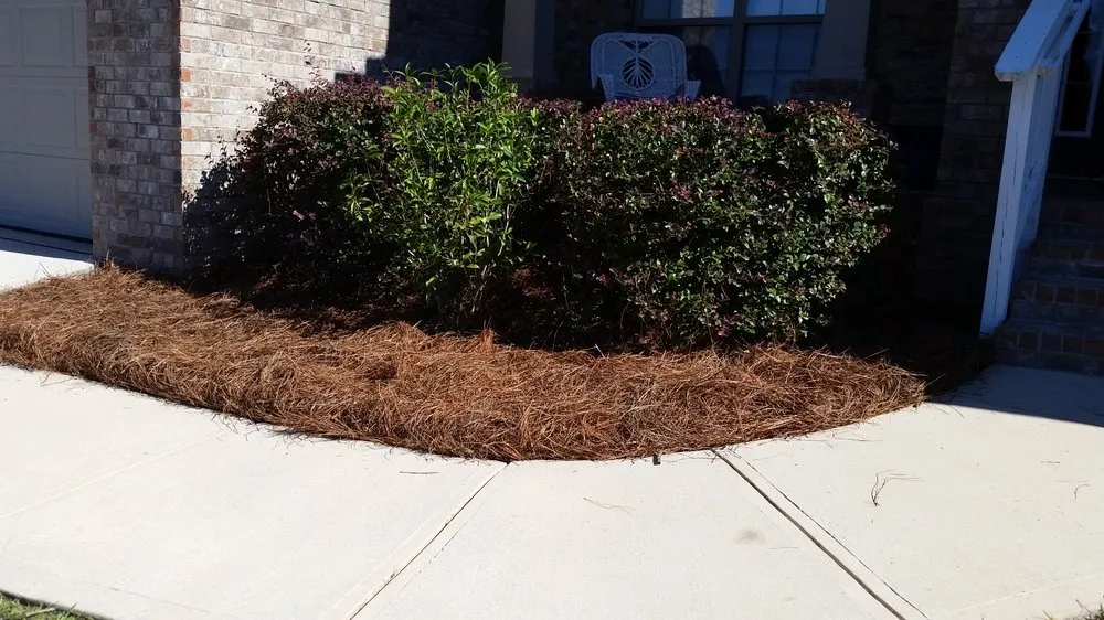 Reliable landscape installation in Crestview, FL by The Other Side Lawn and Landscape