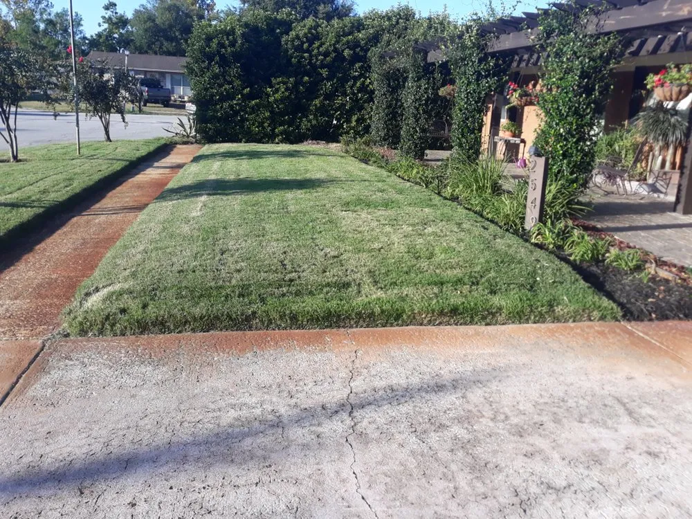 Top-rated yard cleanup service for beautiful yards in Jacksonville, FL by The Other Side Lawn Care and Maintenance