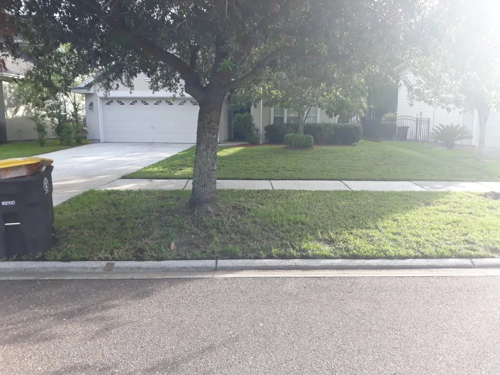 Expert lawn mowing service with custom design in Jacksonville, FL by The Other Side Lawn Care and Maintenance