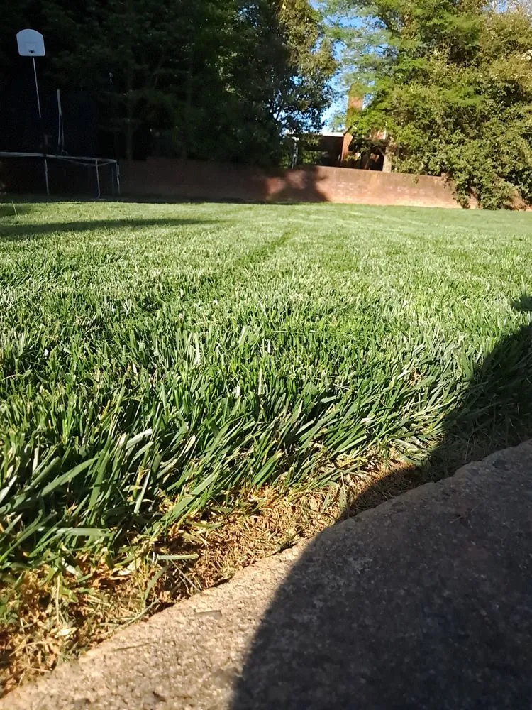 Expert landscape installation experts serving Gastonia, NC - The other Side Lawncare