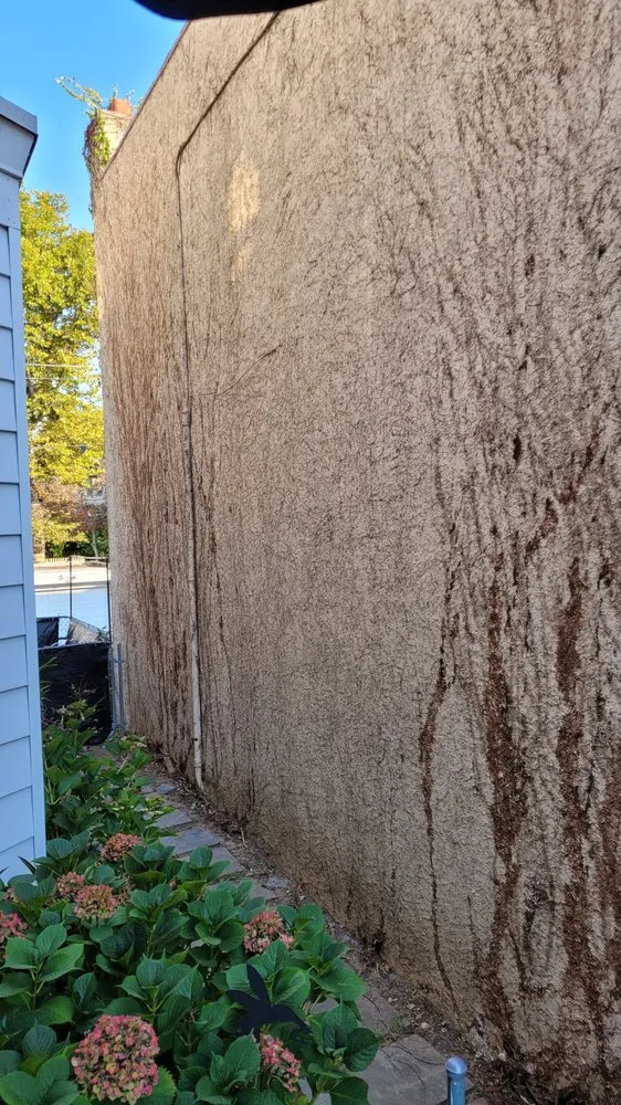 Trusted yard cleanup service experts serving Folcroft, PA - The Other Side Of The Grass