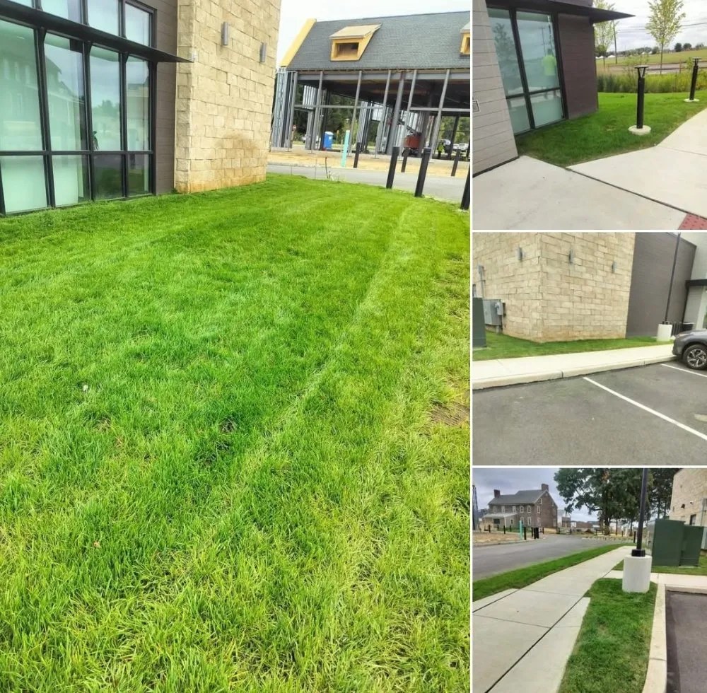 Local lawn care service in Folcroft, PA - The Other Side Of The Grass