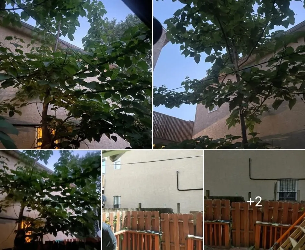 Trusted landscape design with custom design in Folcroft, PA by The Other Side Of The Grass