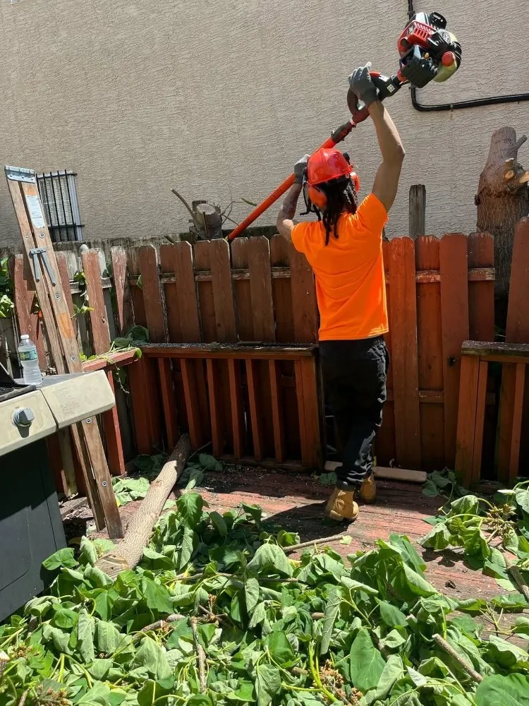 Professional garden landscaping for beautiful yards in Folcroft, PA by The Other Side Of The Grass