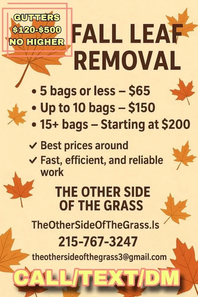 Expert landscape design for homes in Folcroft, PA by The Other Side Of The Grass