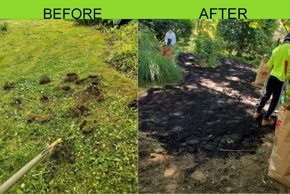 Custom landscape design in Folcroft, PA - The Other Side Of The Grass