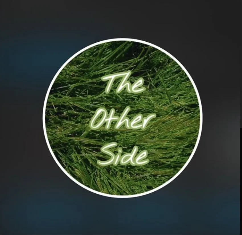 Professional garden landscaping in Folcroft, PA - The Other Side Of The Grass