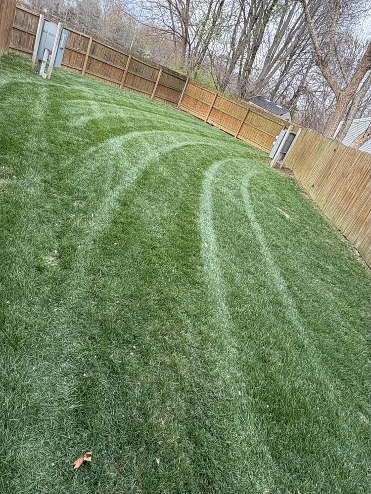 Reliable landscape installation for year-round maintenance across Dale, IN - The Other Side Outside Solutions