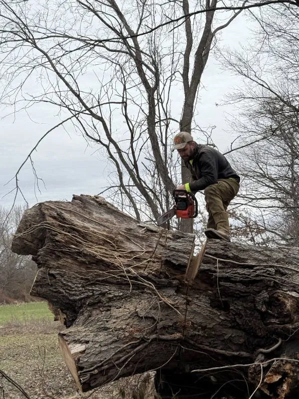 Reliable lawn mowing service in Dale, IN - The Other Side Outside Solutions