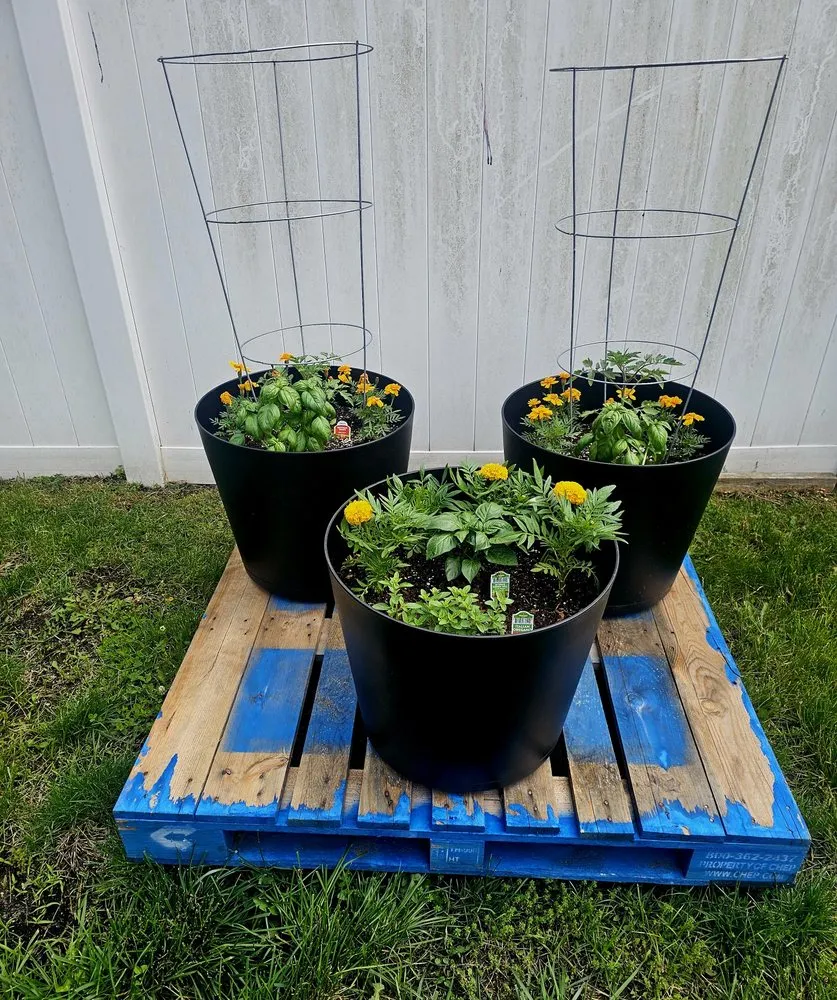 Reliable lawn mowing service for residential properties in Philadelphia, PA by The Other Weed Guy