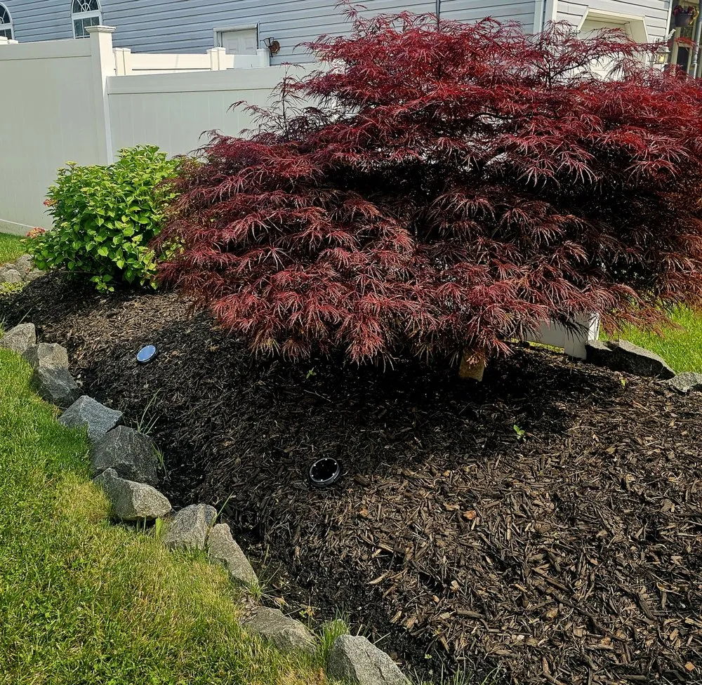 Expert outdoor landscaping in Philadelphia, PA - The Other Weed Guy