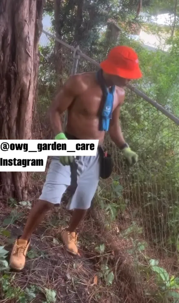 Trusted landscape design in Philadelphia, PA - The Other Weed Guy