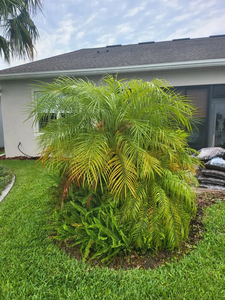 Reliable yard cleanup service in DeLand, FL - The OtherSide Lawn Services