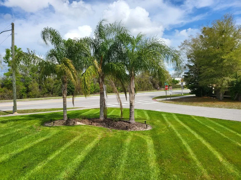 Local yard cleanup service for beautiful yards across DeLand, FL - The OtherSide Lawn Services