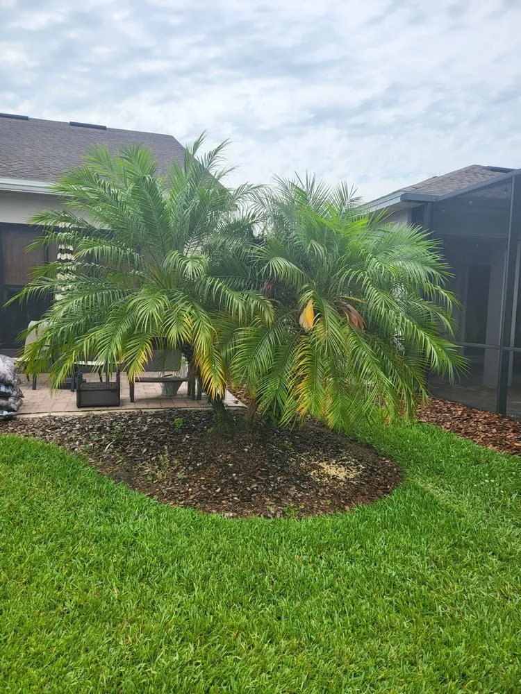 Local residential landscaping in DeLand, FL - The OtherSide Lawn Services