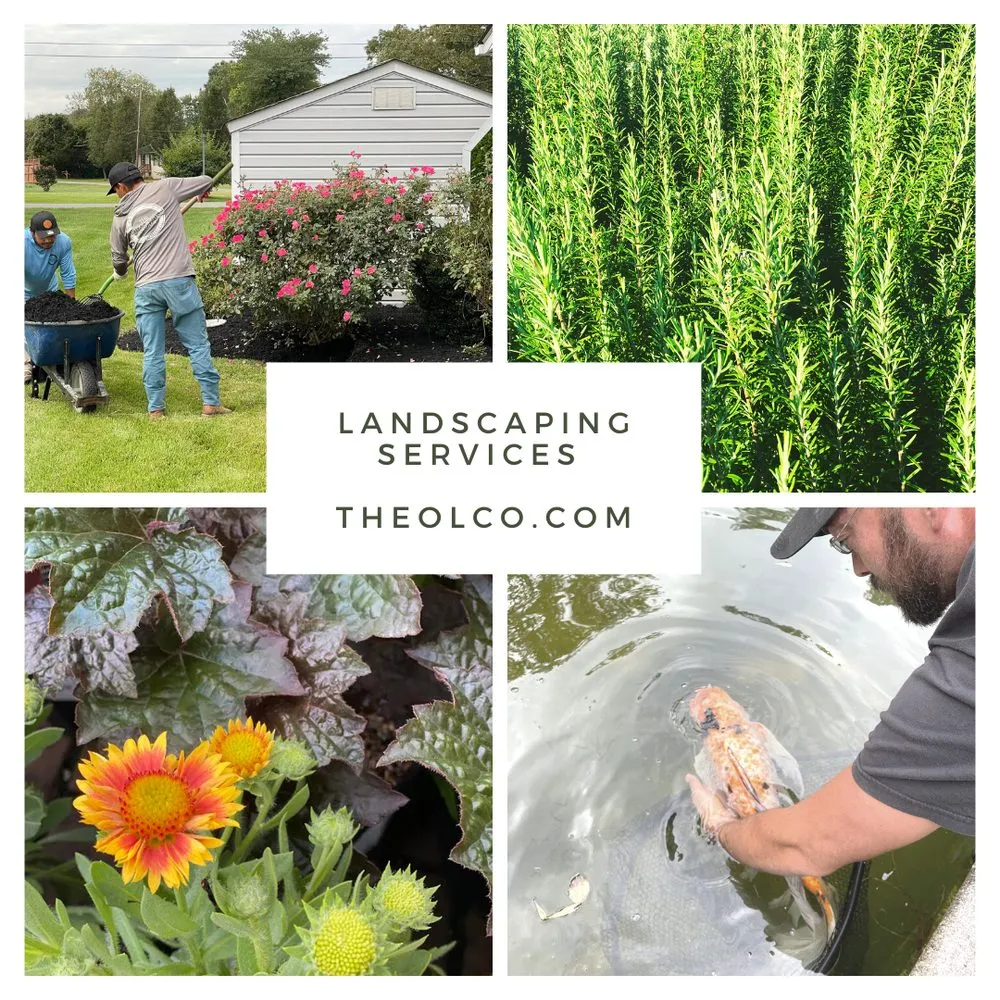 Reliable lawn care service in Indian Head, MD by The Outdoor Living Company