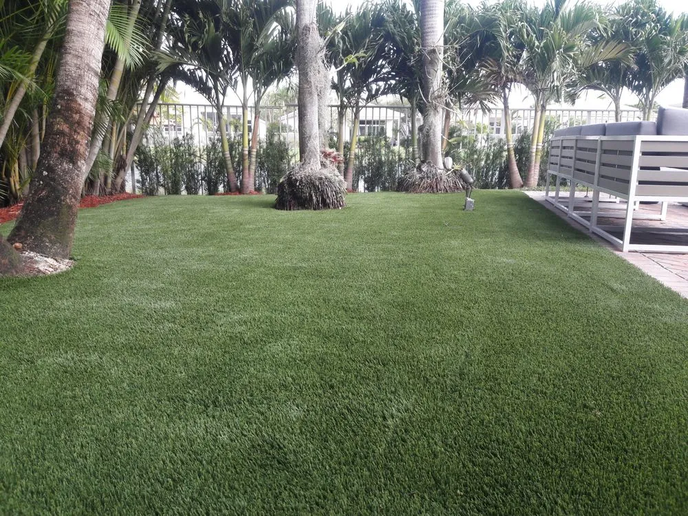 Expert yard maintenance experts serving Largo, FL - The Outdoor Living Pros