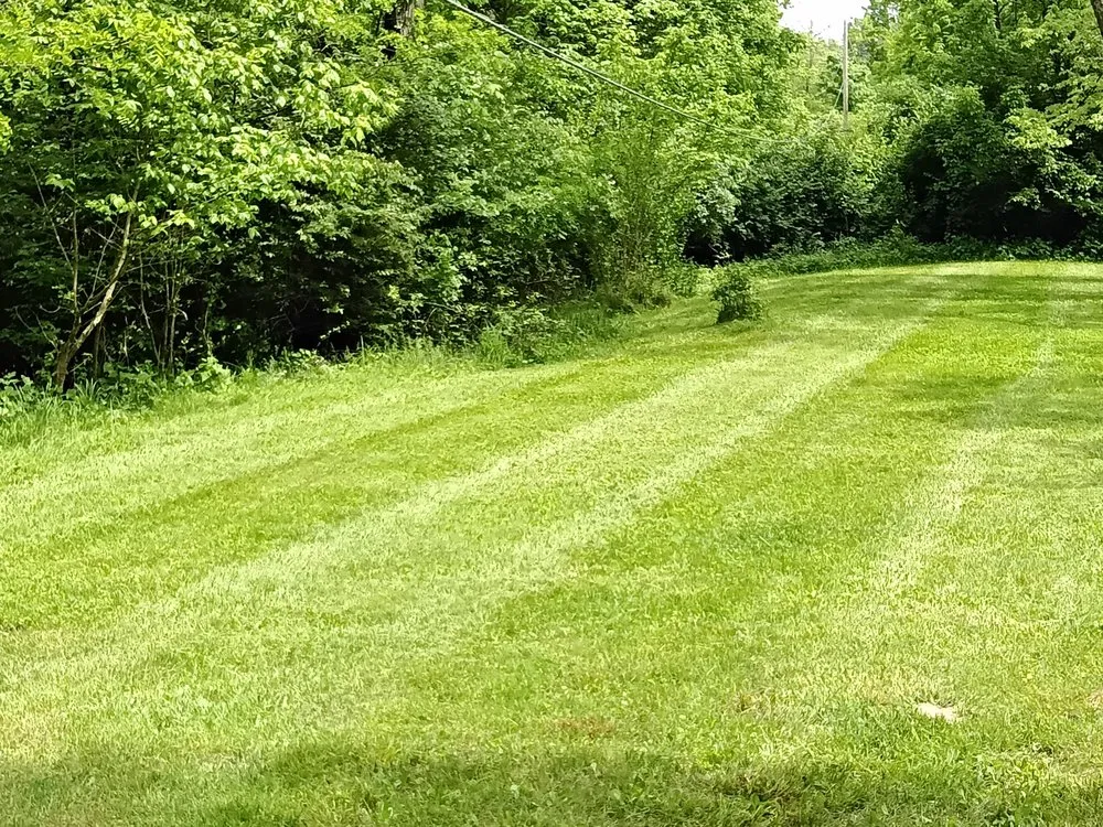 Custom yard maintenance in Clarksville, OH - The Outside Guys
