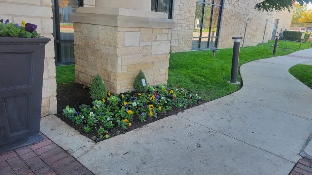 Affordable landscaping services near you across North Richland Hills, TX - The Pacheco’s Landscape & Maintenance