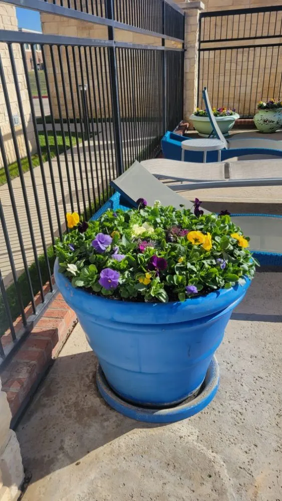 Expert residential landscaping for residential properties in North Richland Hills, TX by The Pacheco’s Landscape & Maintenance