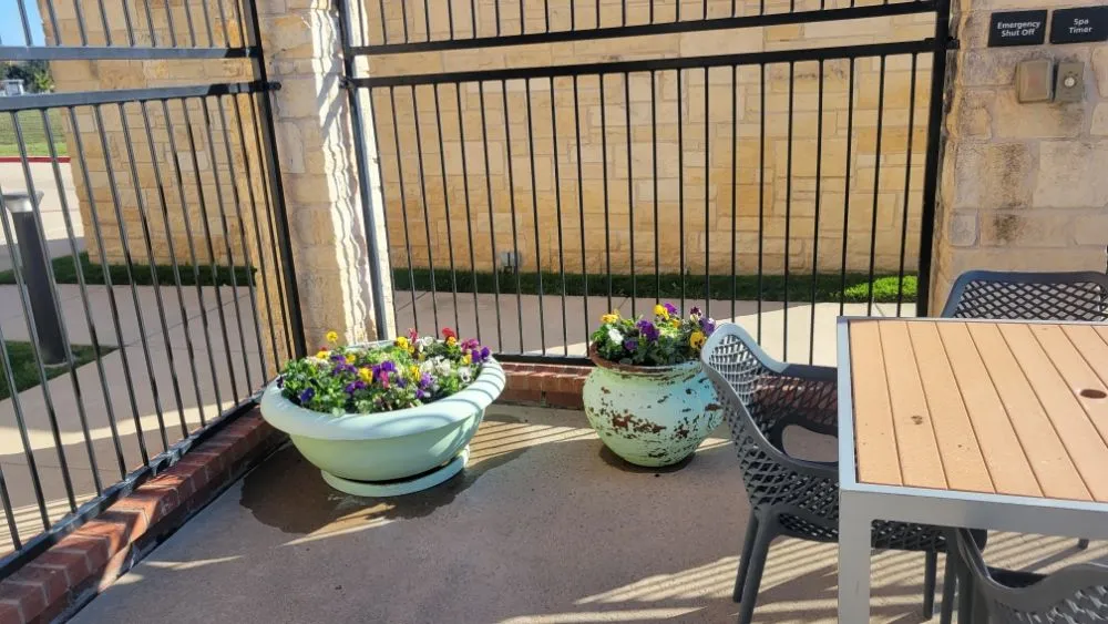 Professional yard cleanup service for year-round maintenance in North Richland Hills, TX by The Pacheco’s Landscape & Maintenance