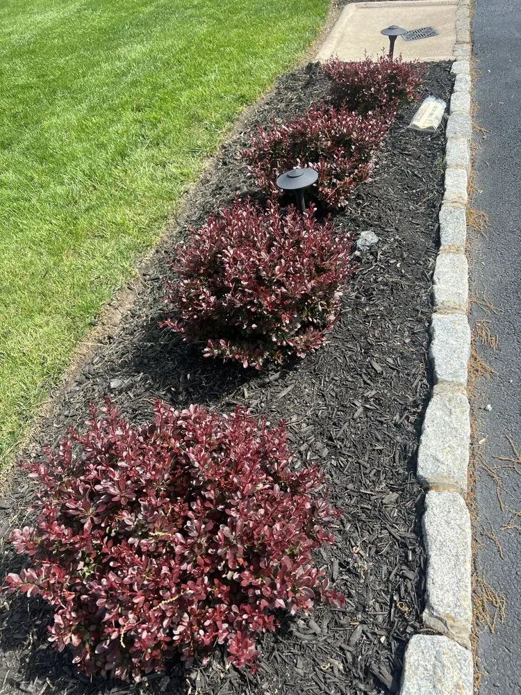 Custom yard maintenance for residential properties in Paterson, NJ by The Palacios B Landscaping