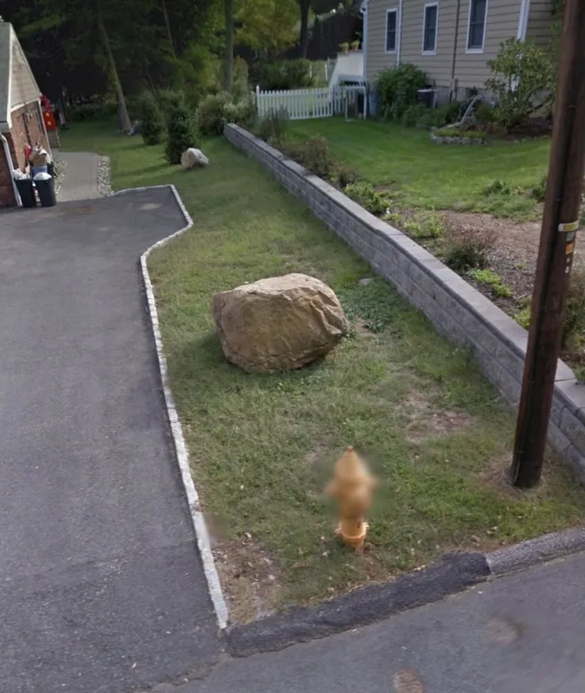 Custom lawn care service in Paterson, NJ by The Palacios B Landscaping