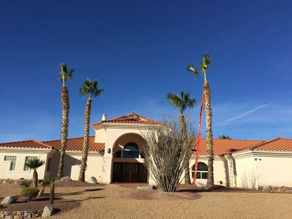 Reliable garden landscaping in Lake Havasu City, AZ by The Palm Tree Guy