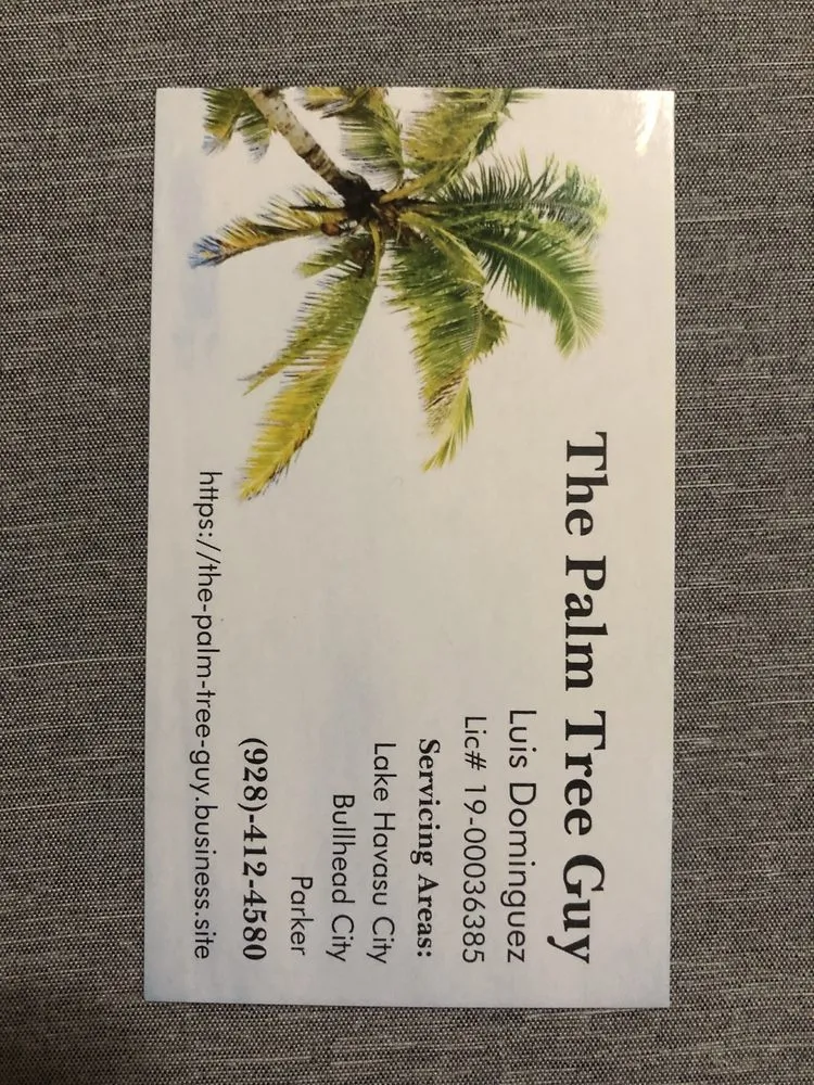 Custom outdoor landscaping in Lake Havasu City, AZ - The Palm Tree Guy