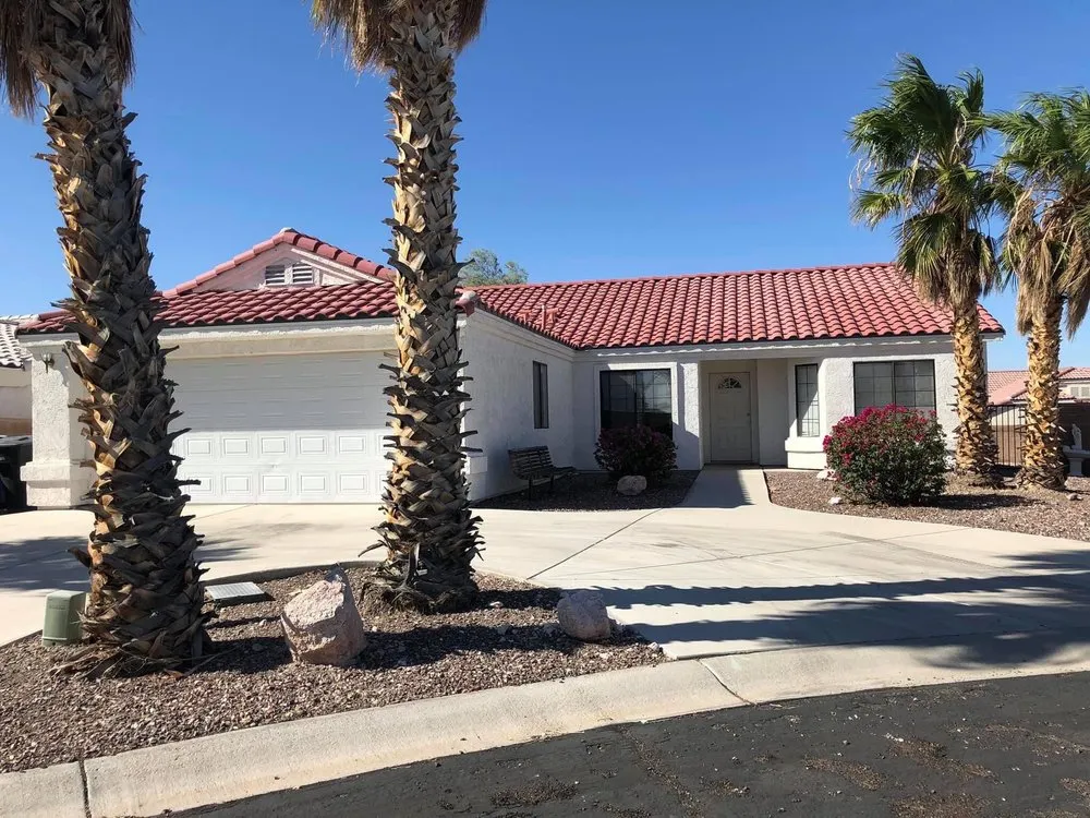 Custom yard cleanup service experts serving Lake Havasu City, AZ - The Palm Tree Guy