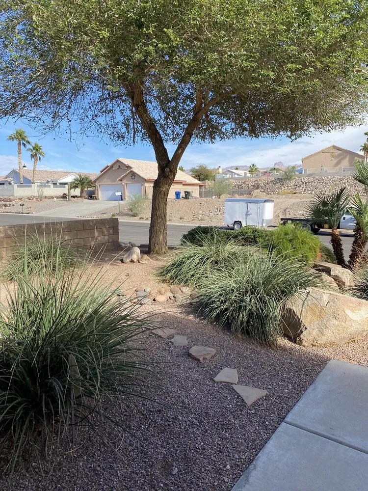 Top-rated landscape installation in Lake Havasu City, AZ - The Palm Tree Guy