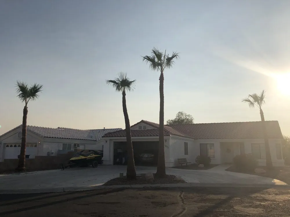 Trusted yard cleanup service in Lake Havasu City, AZ - The Palm Tree Guy