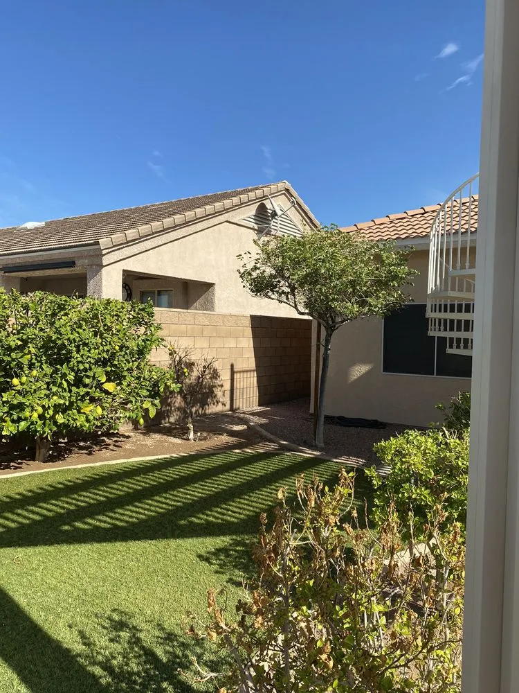 Local garden landscaping in Lake Havasu City, AZ - The Palm Tree Guy