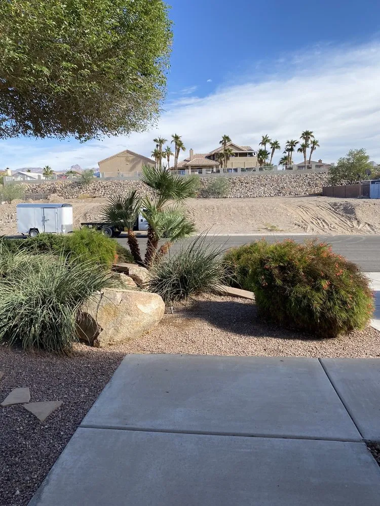 Expert residential landscaping in Lake Havasu City, AZ - The Palm Tree Guy