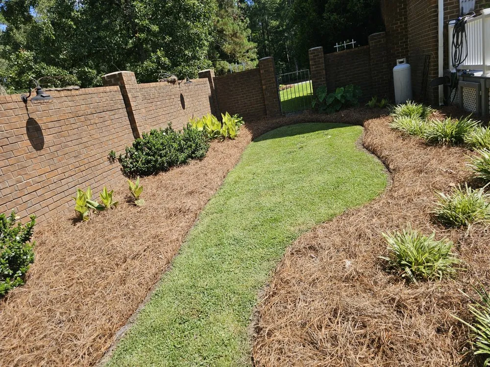 Trusted lawn care service in Snow Hill, NC by The Palms Landscaping