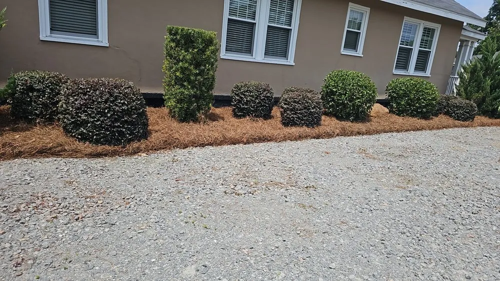 Affordable residential landscaping for homes across Snow Hill, NC - The Palms Landscaping