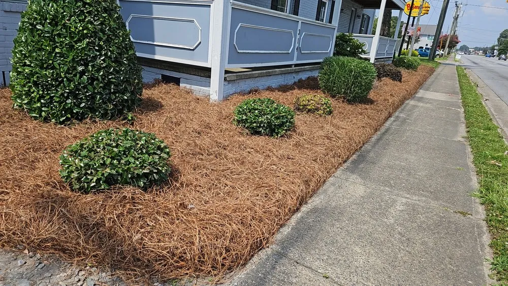 Top-rated landscape design in Snow Hill, NC - The Palms Landscaping