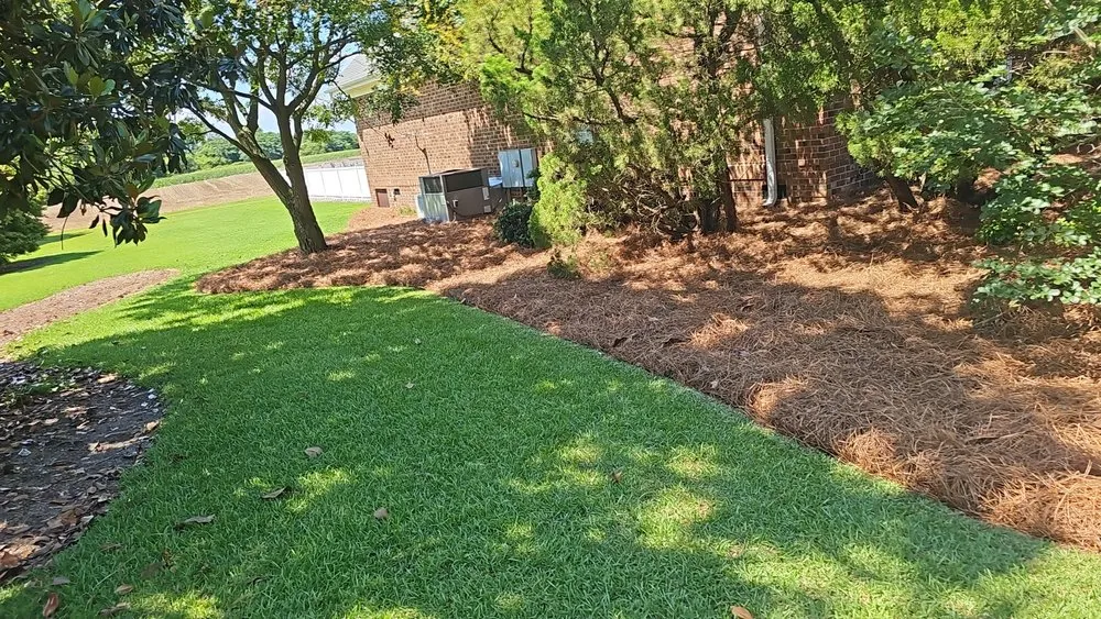 Top-rated landscape installation experts serving Snow Hill, NC - The Palms Landscaping