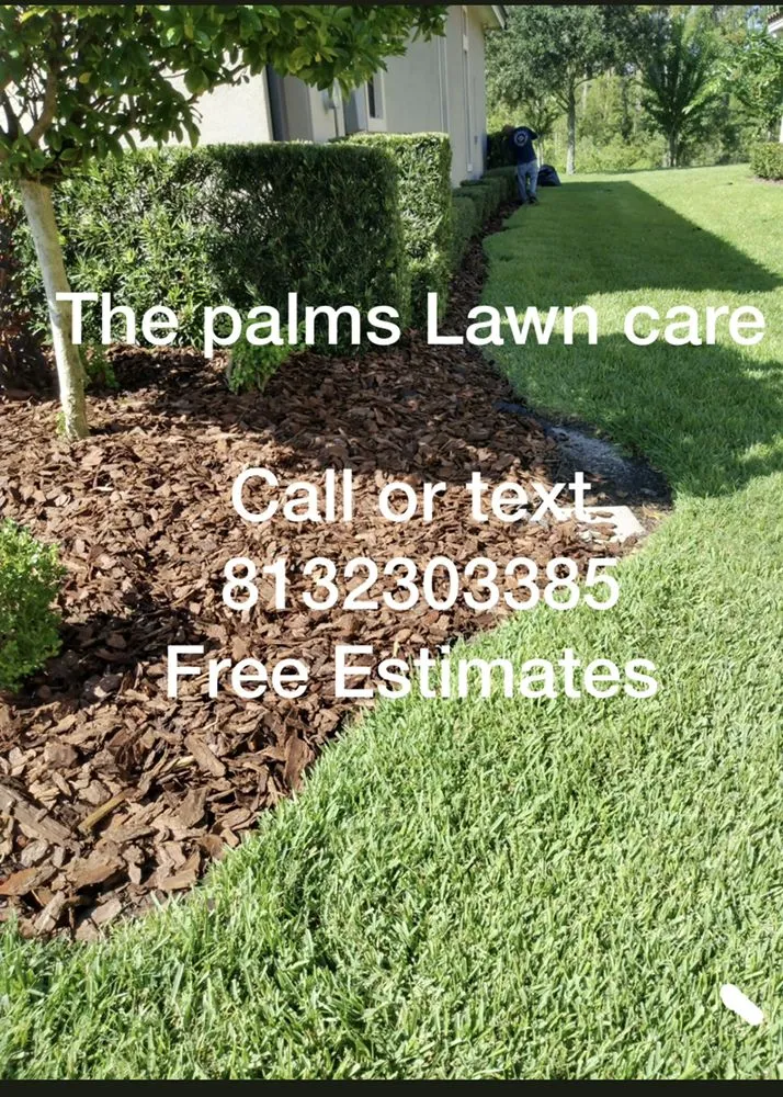 Affordable landscape design experts serving Tampa, FL - The Palms Lawn Care