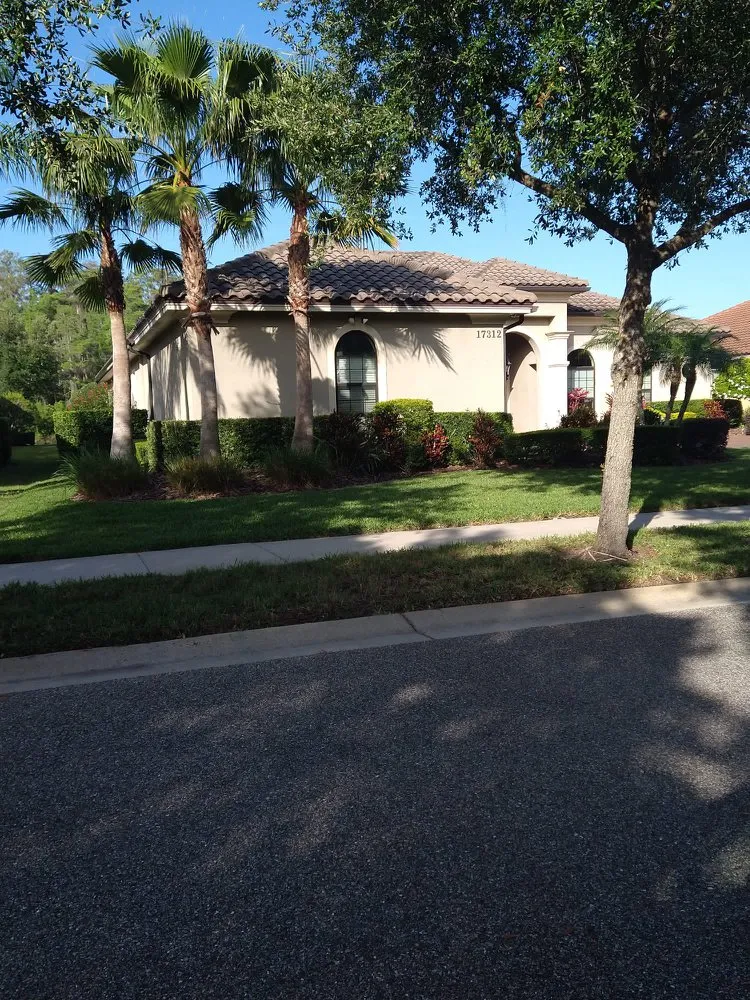 Affordable lawn care service in Tampa, FL - The Palms Lawn Care