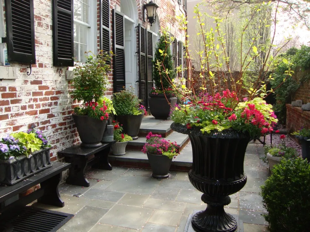 Expert landscape design in Washington DC, DC - The Pampered Garden