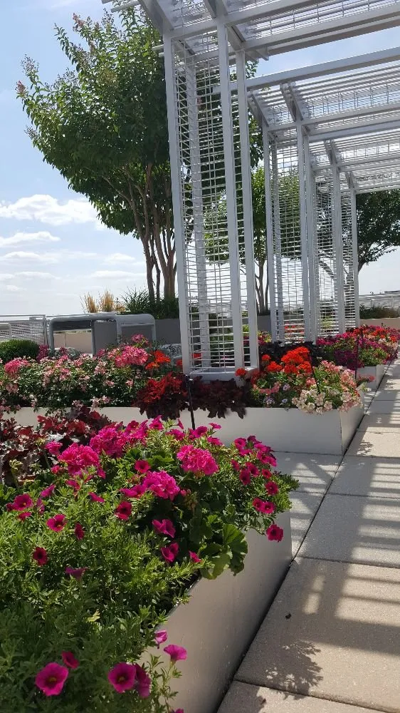 Expert landscaping services in Washington DC, DC - The Pampered Garden