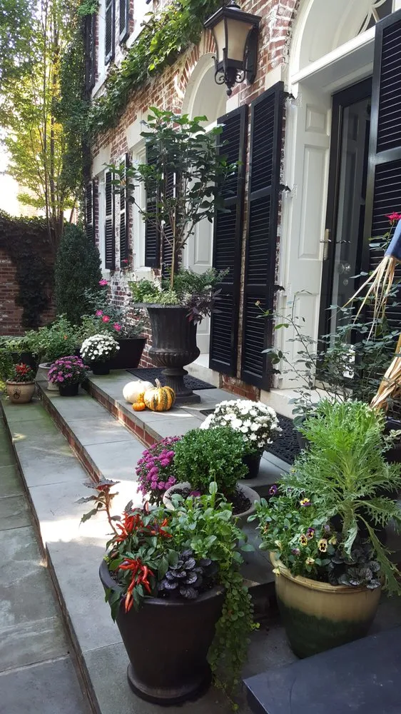 Affordable yard cleanup service experts serving Washington DC, DC - The Pampered Garden